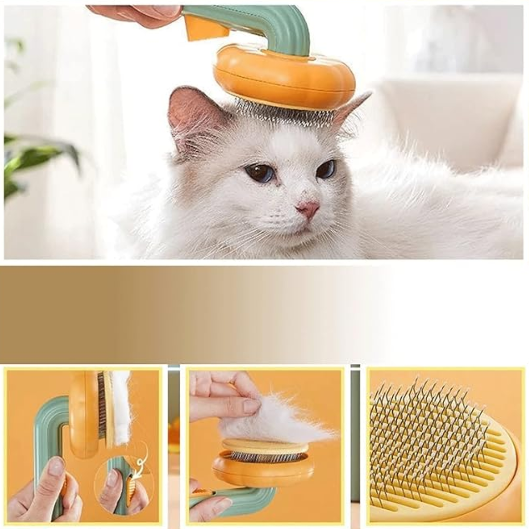 PetBrush