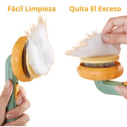 PetBrush
